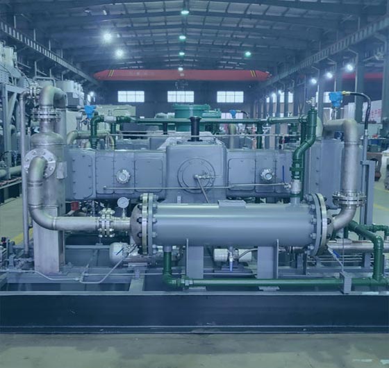 Natural Gas Compressor